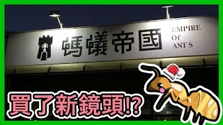 螞蟻帝國實體店面在賣什麼?|甜蜜巨山蟻|Camponotus variegatus dulcis|Empire of Ants|⚠️內有清晰螞蟻影像⚠️【蟲子蟲子】🎄