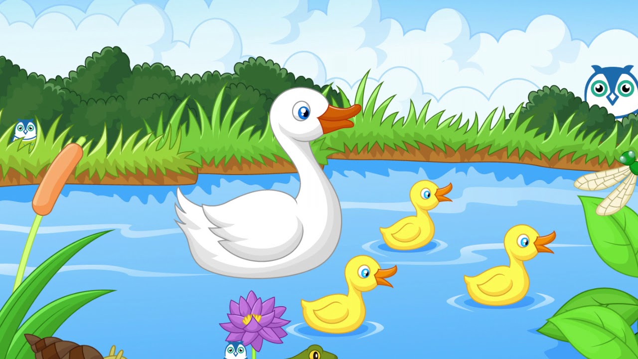 Where Is George? At the Pond - Where Is George? At the Pond
