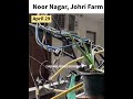Noor Nagar, Johri Farm video #okhla #noornagar #delhi
