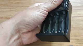 Puji Max AA/AAA Battery Charger