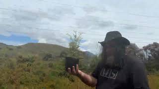 Planting The Fernando Tree in New Zealand with Craig Wonkey Donkey Man Smith