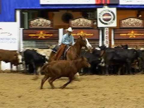 2009 NYCHA Junior Scholarship Champion