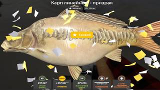 НОВЫЕ ФАРМЫ СЕРЕБРА и РАЗДАЧИ ТРОФЕЕВ! СВОДКА по ВОДОЁМАМ на 01.04 в Русской Рыбалке 4! РР4