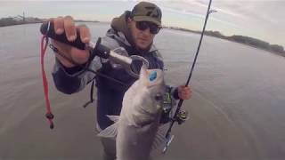 Pêche Des Attaques De Malade Pesca Lubina Pêche Du Loup Bar Du Bord, Canne Saltis Daiwa