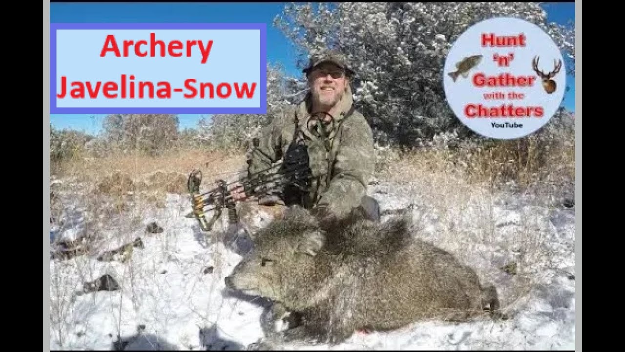 Archery Javelina Tracking in Snow Learn How to Make Sausage