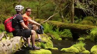 McKenzie River Adventures | Eugene, Cascades & Coast
