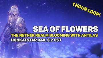 Sea of Flowers The Nether Realm Blooming with Antilas | 1 Hour Loop | Honkai Star Rail 3.2 OST