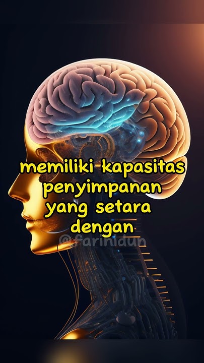 kapasitas-otak-manusia-setara-dengan-berapa-giga-youtube
