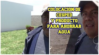 Colocación de césped y producto para ahorrar agua