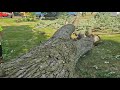 Tree drop!