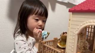 シルバニアファミリーで遊んだよ☆