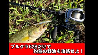 野池の夏。プルクラ６２Bの夏。