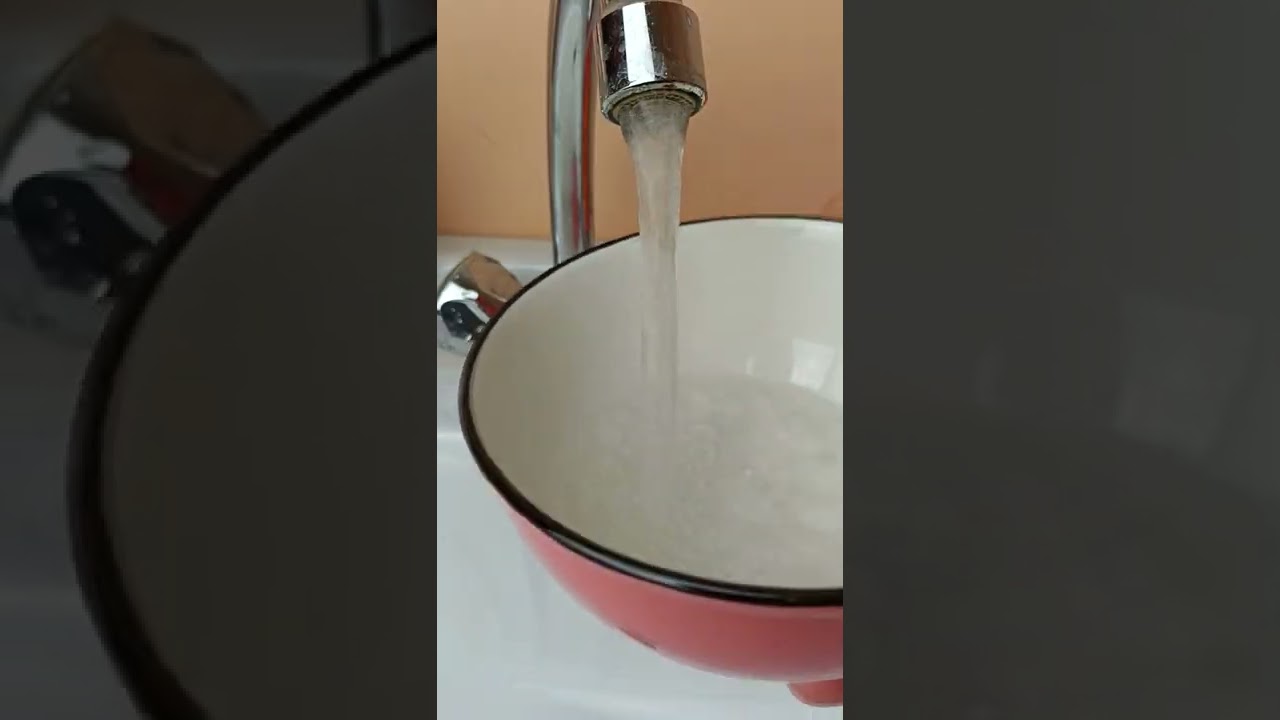 Как избавиться от укуса собаки зараженой бешенством. Последствия укуса