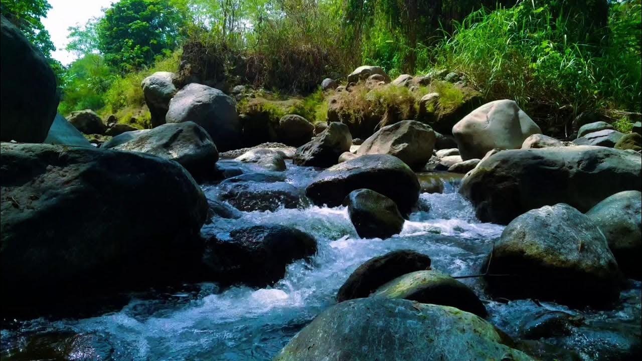 Gentle Stream Sounds | Relaxing Stream Sounds use for Relaxation, Sleep, insomnia Gentle Stream Sounds | Relaxing Stream Sounds use for Relaxation, Sleep, insomnia