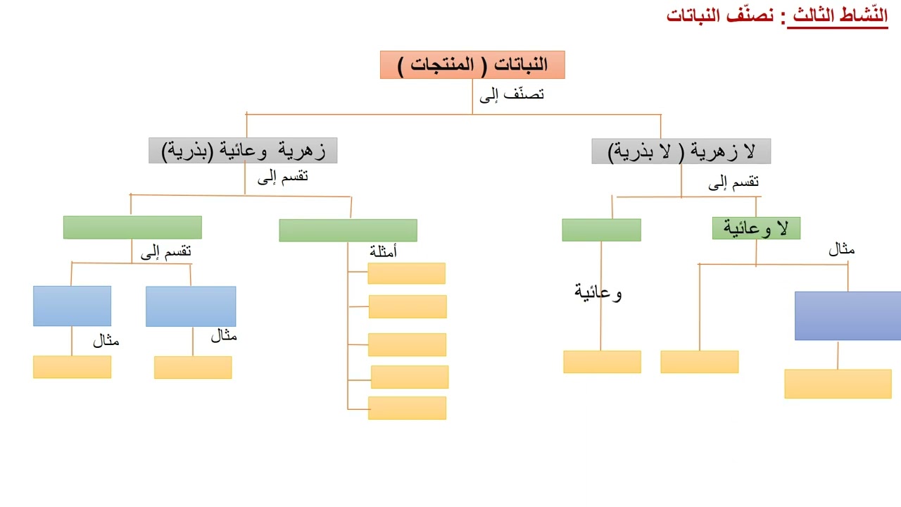 درس النباتات الزهرية (البذرية)  للصف السابع souadtahan@