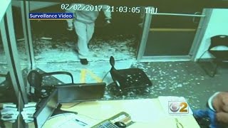 Thieves Hit Luxury Car Dealership