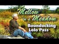 Mellow in a Meadow: Boondocking Lolo Pass