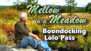 Mellow in a Meadow: Boondocking Lolo Pass