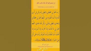 ✨ "تلاوة خاشعة من سورة العنكبوت [59-60]، آيات عن الرزق والاعتماد على الله،