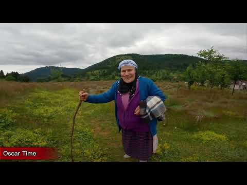 Bir Göç Hikayesi Yayla Göçü Düzköy Kayaüstü Yaylası