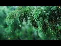 Capture de la vidéo Perfect Concert • Relaxing Music By Peder B. Helland