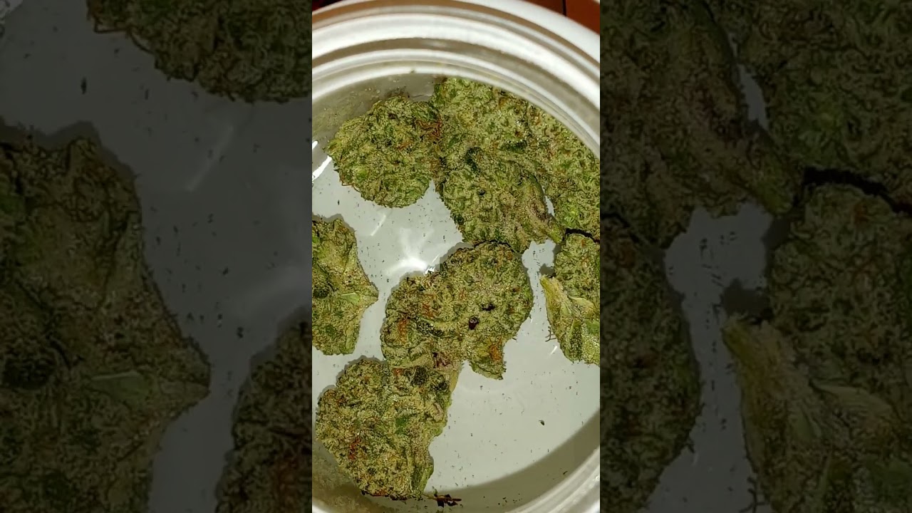 Sherb Hog!  Cannabis Flower Missouri MMJ