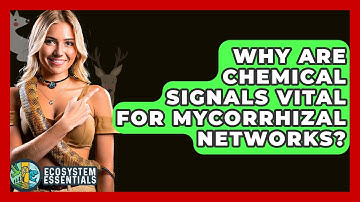 Why Are Chemical Signals Vital For Mycorrhizal Networks? - Ecosystem Essentials