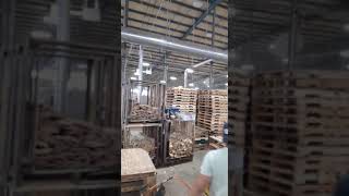 asi es el trabajo de Reparacion de pallet en la usa
