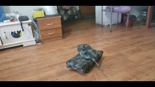 全金属豹2A6坦克模型 Full Metal Leopard 2A6 Tank Model