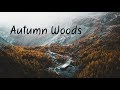 Autumn Woods | Beautiful Chill Mix