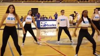 The Reporter: MDC Shark Spirit Cheer & Dance Team