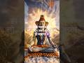 Start Your Morning with Mahadev 🕉️ | Divine Peace & Positive Energy of Lord Shiva ✨ #viral #bhakti
