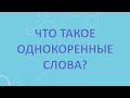 Что такое однокоренные слова?