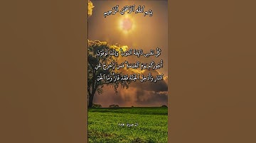 تلاوة تهز القلوب لِأُوْلِي الألباب آية 185 من سورة آل عمران بصوت مشاري راشد العفاسي