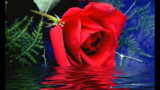 gökhan bilgili ellerinsin artık