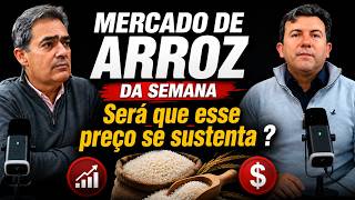 MERCADO DE ARROZ | SEMANA DE 17/08 A 21/08/2026