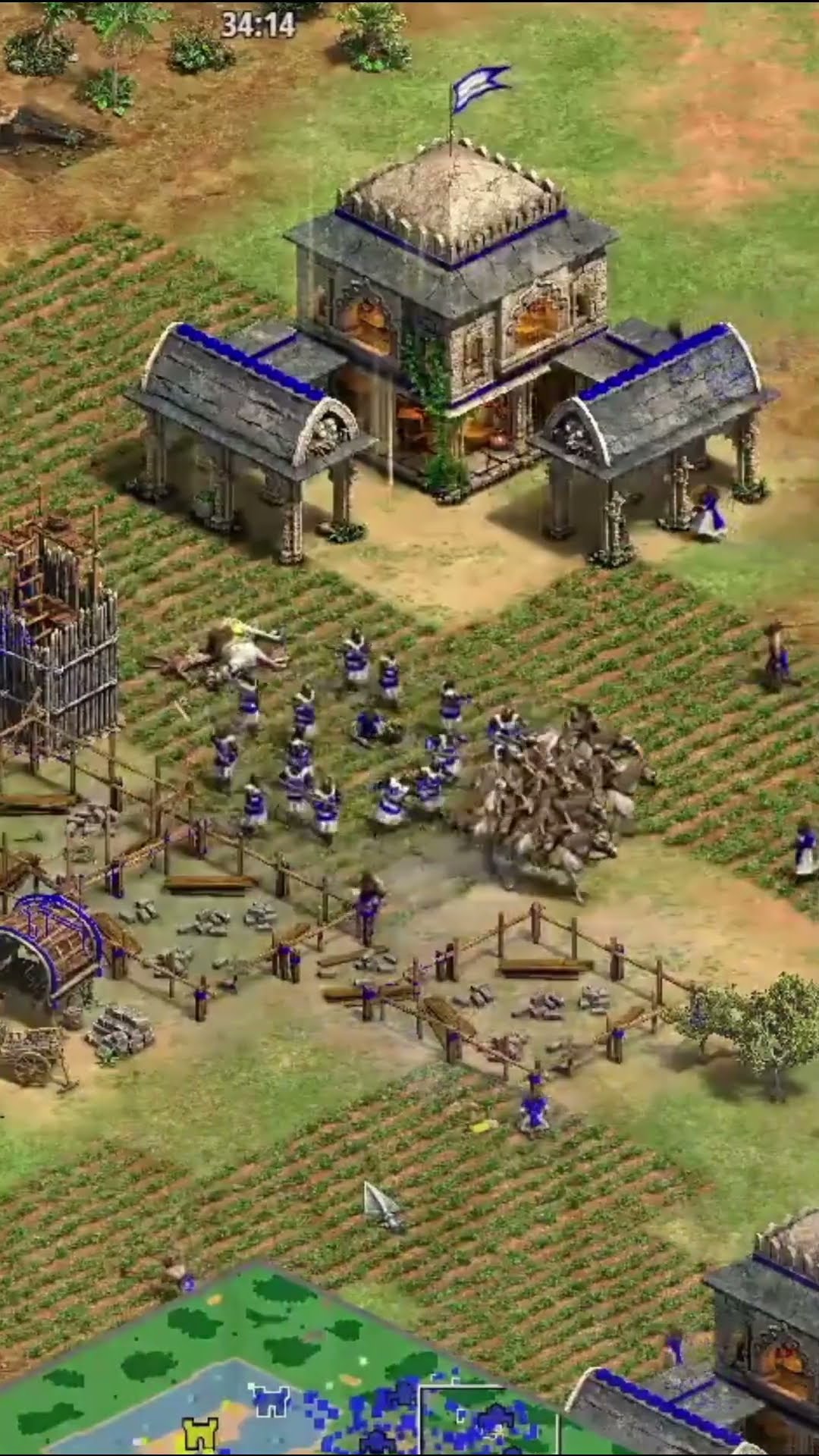 EL MEJOR del MUNDO JUEGA DESNUDO al AGE of EMPIRES #shorts #aoe #aoe2 #hera