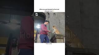 pure innocent soul 🐶❤️#arknights #shorts #shortsfeed #viralvideo