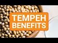 Top 5 health benefits of tempeh