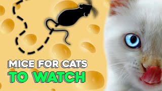 Mice for Cats to Watch by CatPet 9,055 views 4 years ago 1 hour