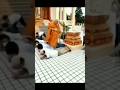 wait for end😱 #comedy #funny #memes #fun #ytshorts #viral #shorts #trending #shortvideo #shortsviral