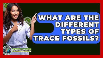 What Are The Different Types Of Trace Fossils? - Earth Science Answers