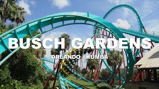 Kumba - Busch Gardens
