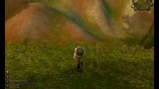 Wow bug tour 1
