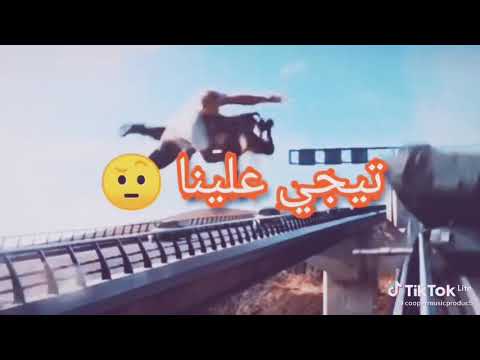 مهرجان عقباوي بطير في الجو
