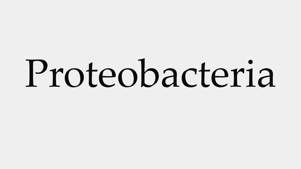 How to Pronounce Proteobacteria