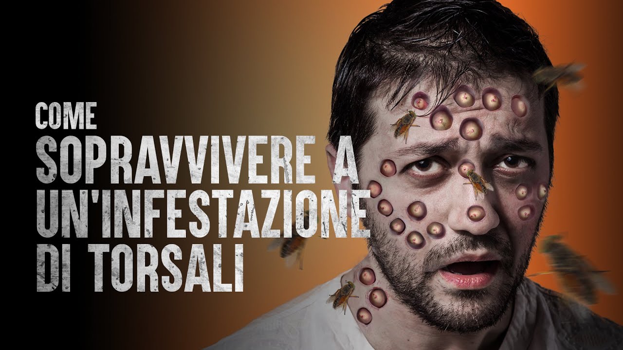 Come Sopravvivere a un'Infestazione di Torsali
