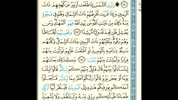 القرآن الكريم صفحة رقم 295 برواية الدوري عن الكسائي  القارئ مفتاح السلطني