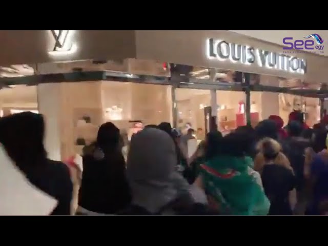 Louis Vuitton Store Robbed in Portland 