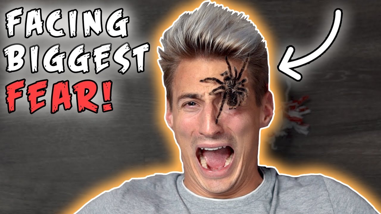 my biggest fear is spider It's hard to think of a critter that inspires as much hyperbolic hysteria as the brown recluse spider they're pretty spiders in general are easy to fear, and misinformation about this species in particular abounds wired's biggest stories delivered to your inbox submit subscribe. my biggest fear is spider It's hard to think of a critter that inspires as much hyperbolic hysteria as the brown recluse spider they're pretty spiders in general are easy to fear, and misinformation about this species in particular abounds wired's biggest stories delivered to your inbox submit subscribe.